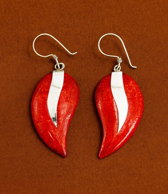925 Silver Earrings – Mangos