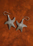 Silver Earrings for Women – Starfish Design