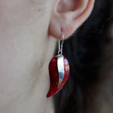 925 Silver Earrings – Mangos
